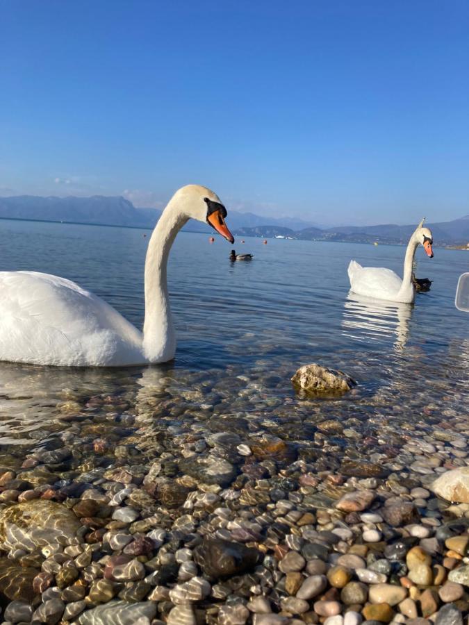 Garda Art&Lake Peschiera del Garda Buitenkant foto